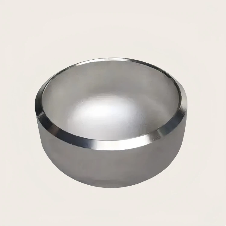 Ss Pipe End Cap